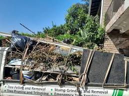 Lexington, MS Junk Removal Services Company